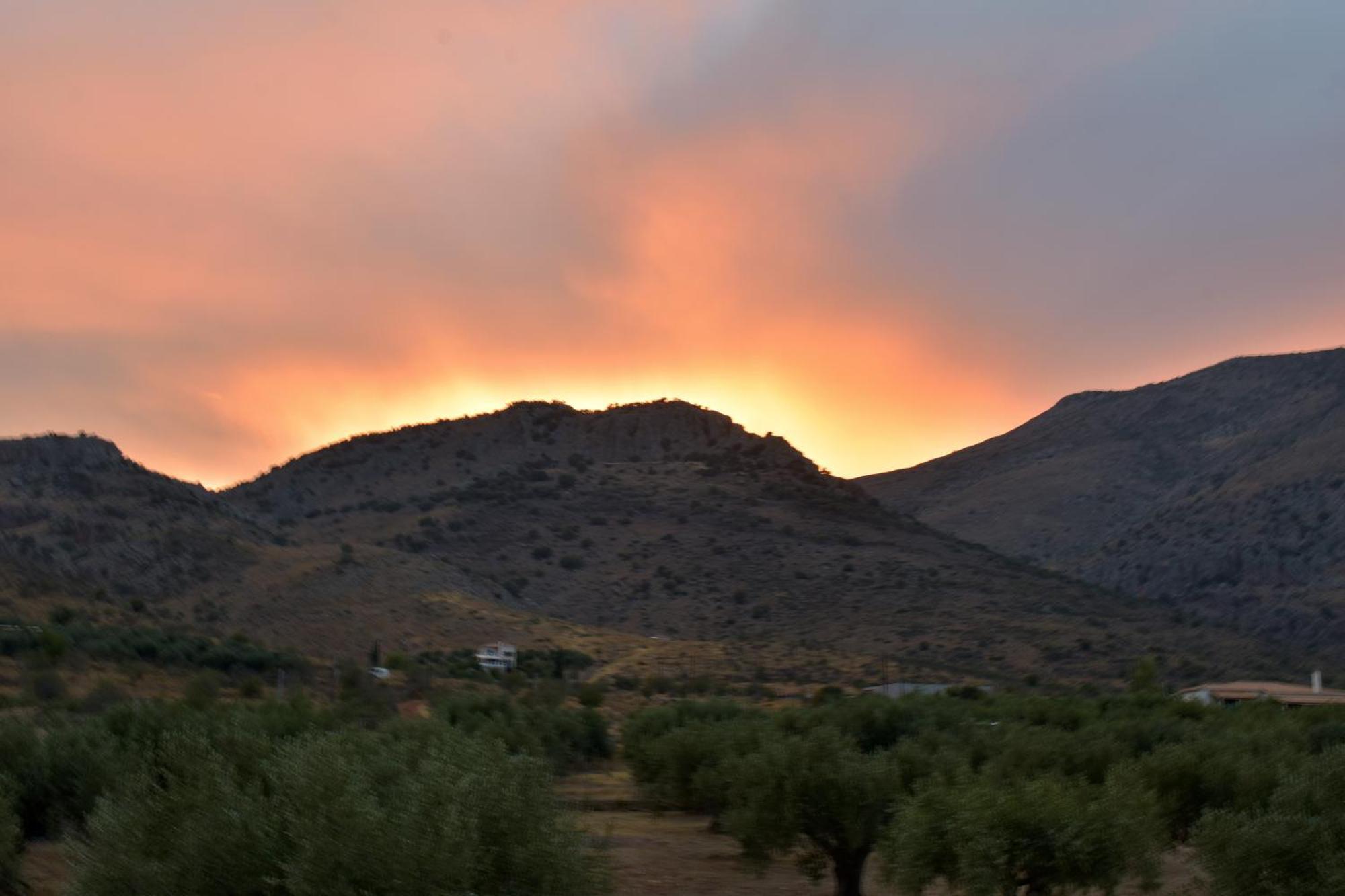 Villa In The Olive Trees Galaxidi ห้อง รูปภาพ